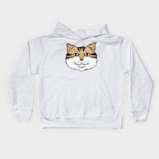 Face Tabby Kitty Cat Animal Kids Hoodie